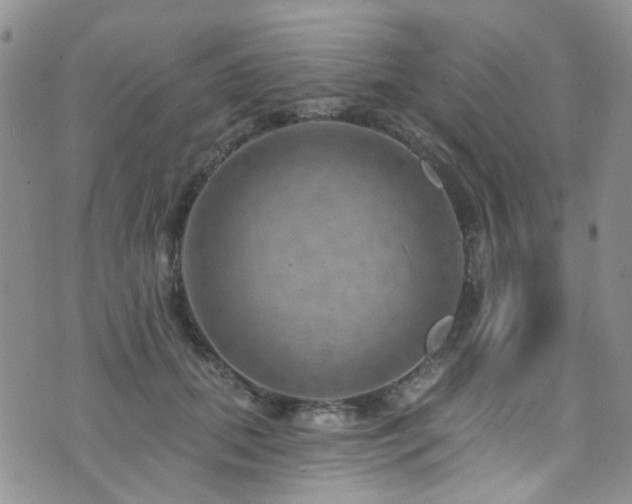 X0000073730655200608031331