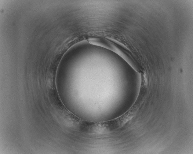 X0000073730656200608031331