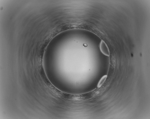 X0000073730657200608031331