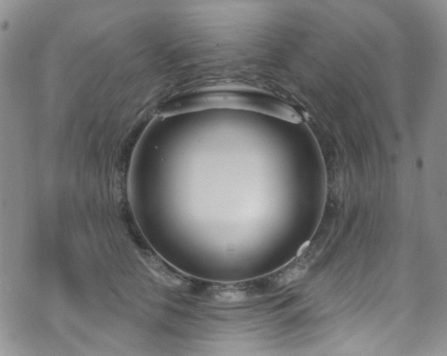 X0000073730658200608031331