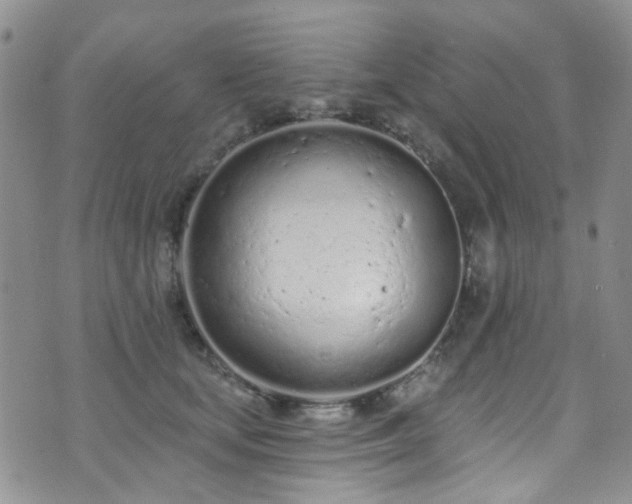 X0000073730659200608031331