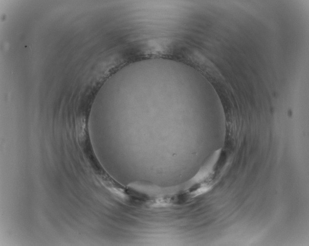 X0000073730660200608031331