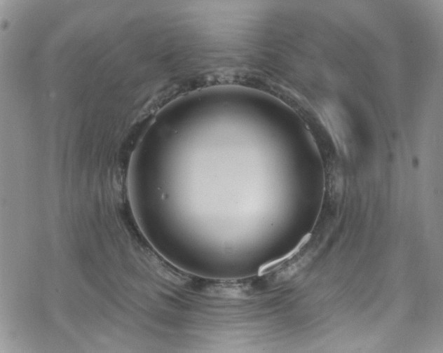 X0000073730661200608031331