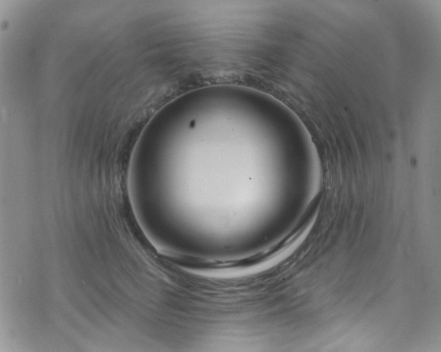 X0000073730662200608031331