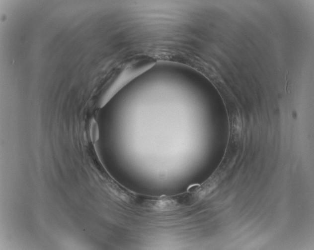 X0000073730663200608031331