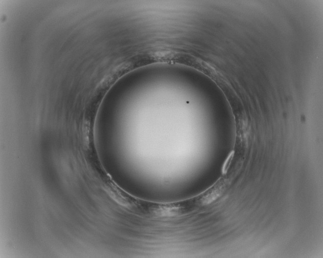 X0000073730664200608031331