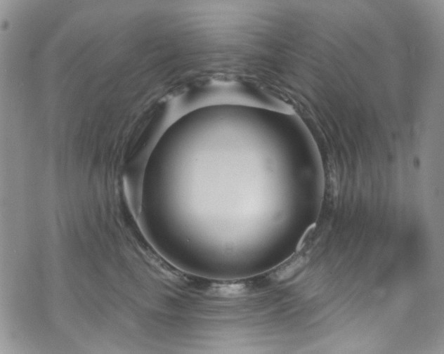 X0000073730665200608031331