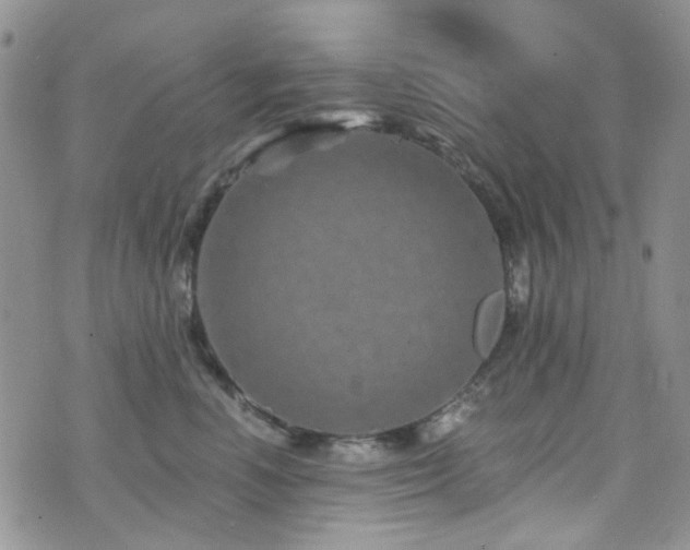 X0000073730666200608031331