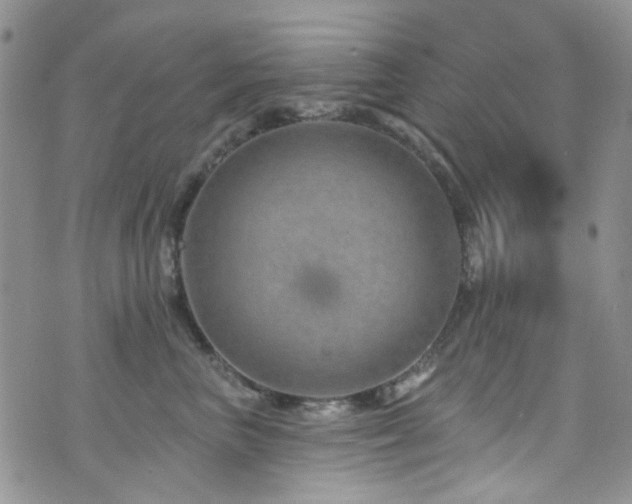 X0000073730667200608031331