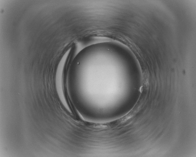 X0000073730669200608031331