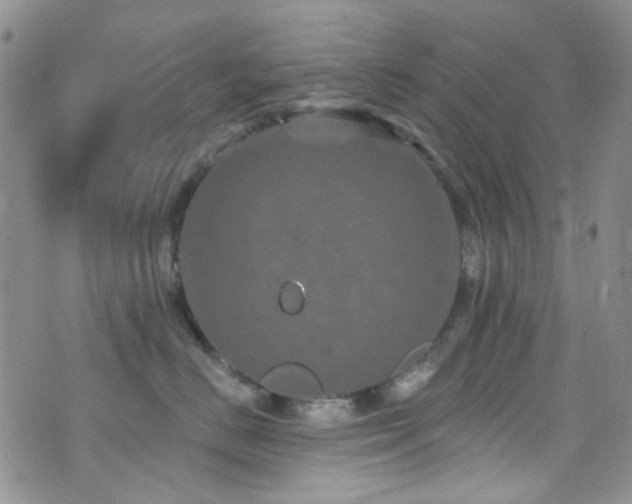 X0000073730670200608031331