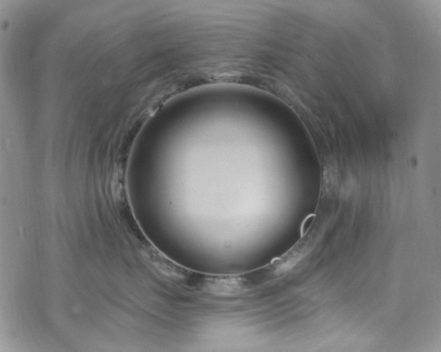 X0000073730671200608031331