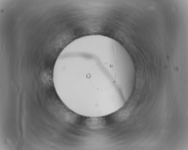 X0000073730672200608031331