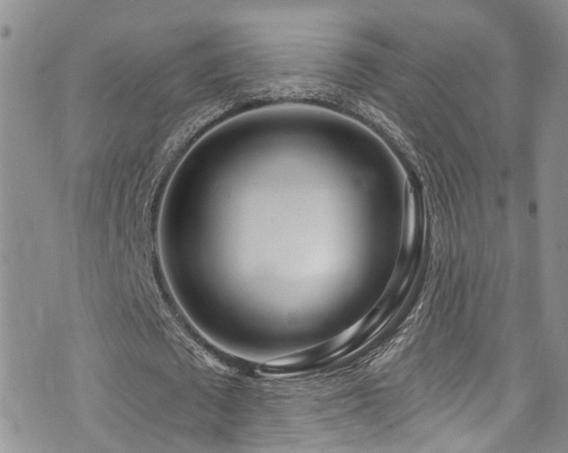 X0000073730673200608031330