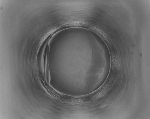 X0000073730674200608031330