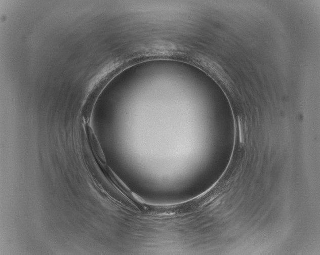 X0000073730675200608031330