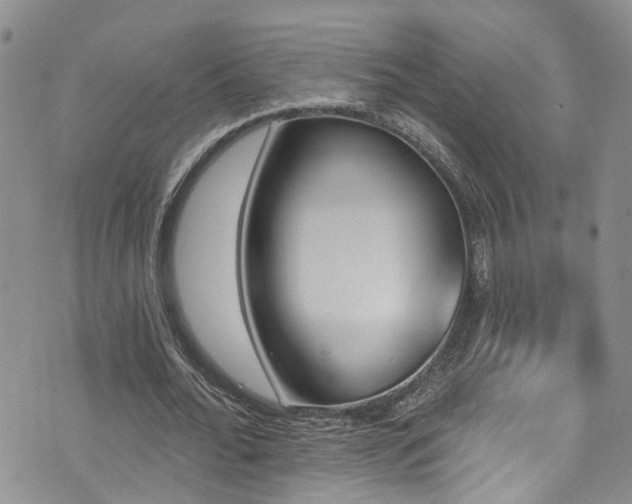 X0000073730676200608031330