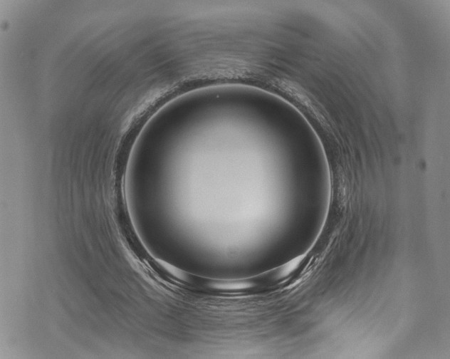 X0000073730677200608031330