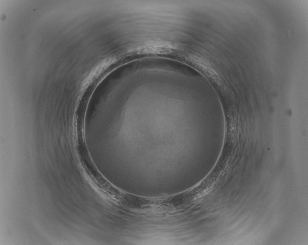 X0000073730678200608031330