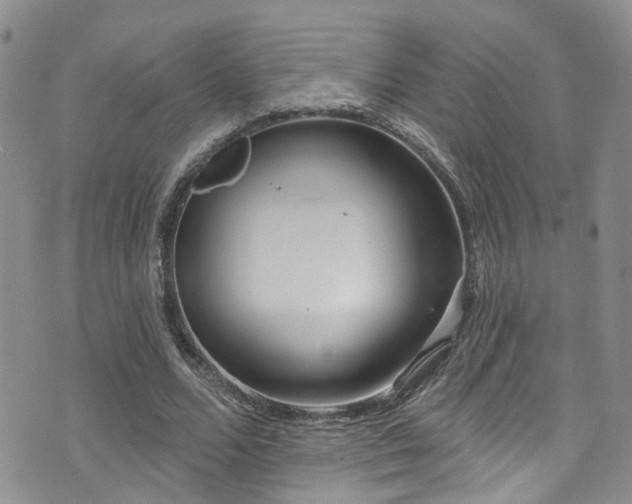 X0000073730680200608031330