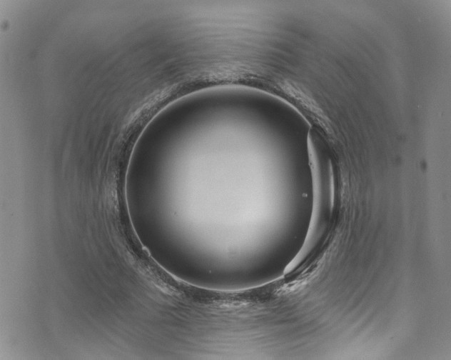 X0000073730681200608031330