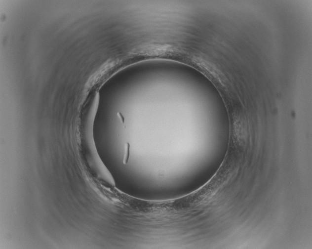 X0000073730682200608031330