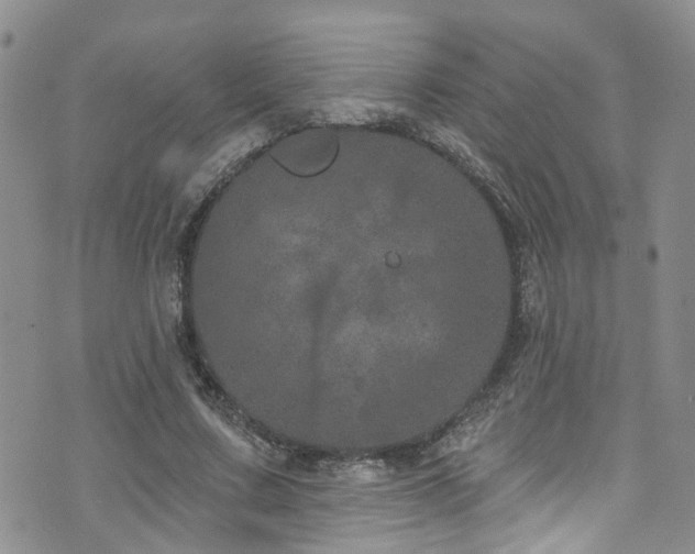 X0000073730683200608031330