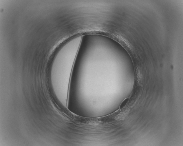 X0000073730684200608031330