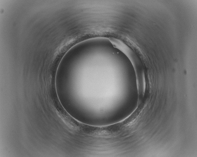 X0000073730685200608031330