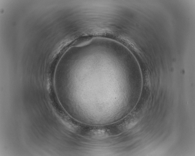 X0000073730687200608031330