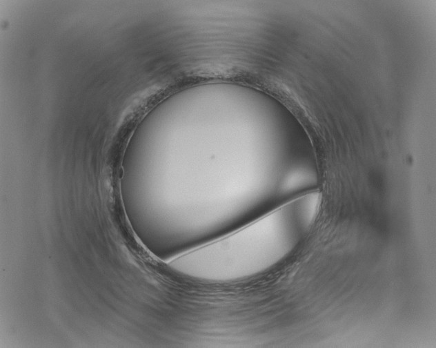 X0000073730688200608031330