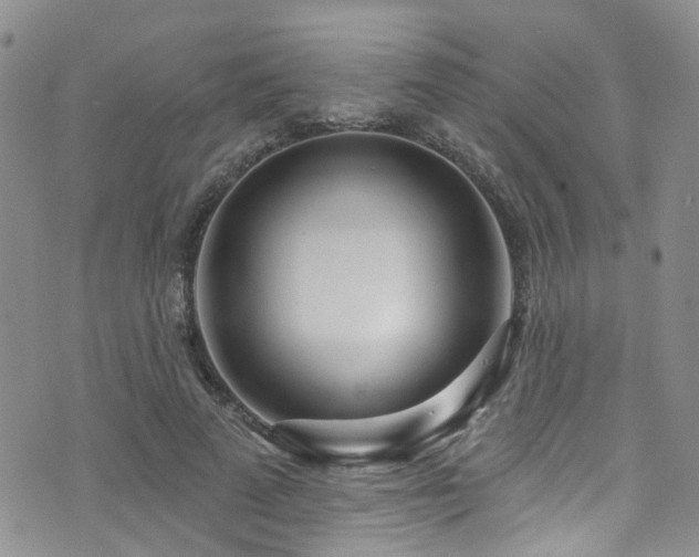 X0000073730689200608031330