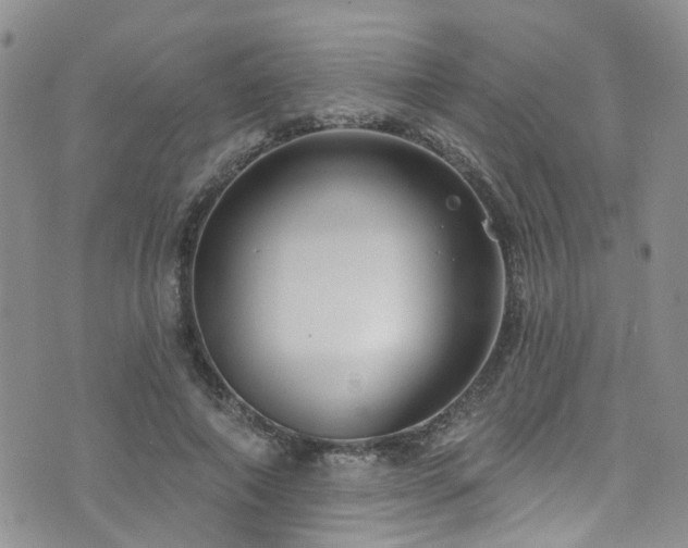 X0000073730690200608031330