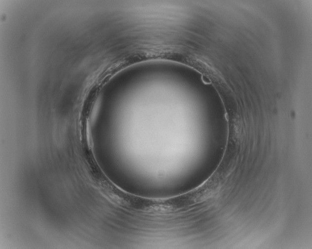 X0000073730691200608031330