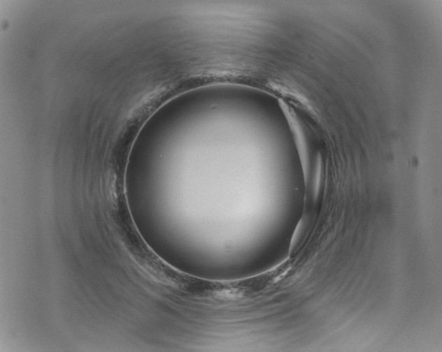 X0000073730692200608031330