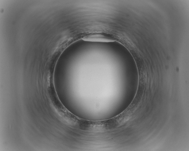 X0000073730694200608031330