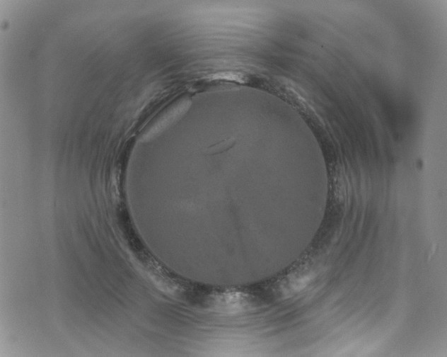 X0000073730695200608031330