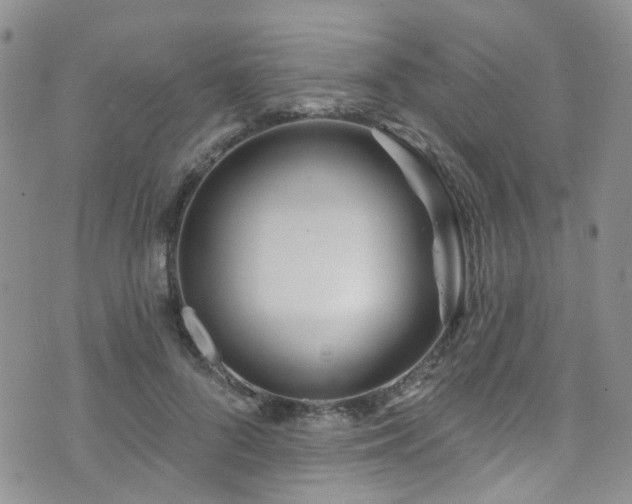 X0000073730696200608031330