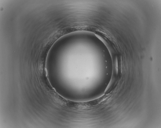 X0000073730697200608031330