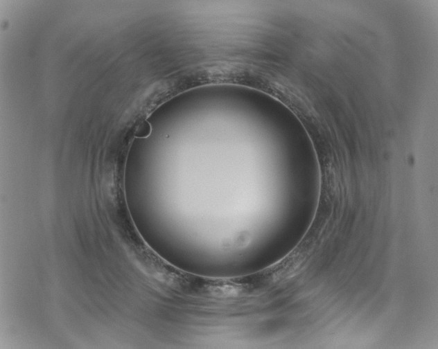 X0000073730698200608031330