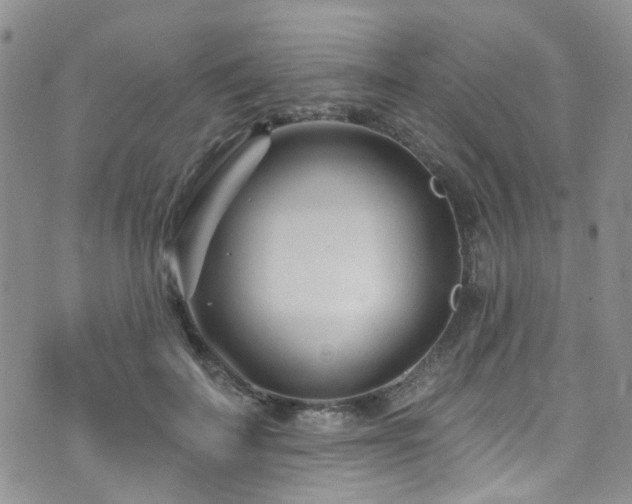 X0000073730699200608031330