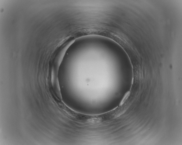 X0000073730700200608031330