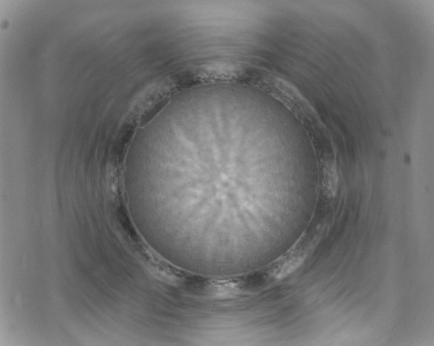 X0000073730701200608031330