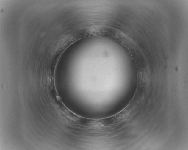 X0000073730702200608031330