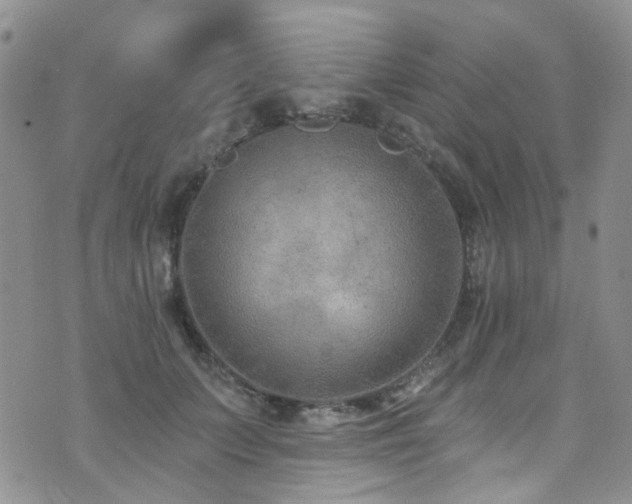 X0000073730703200608031330