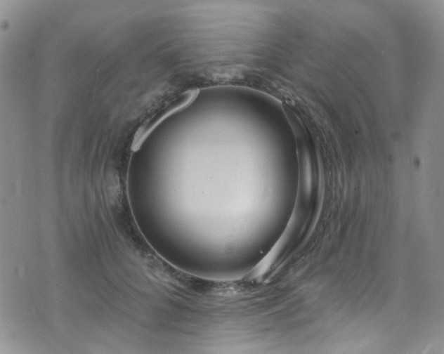 X0000073730704200608031330