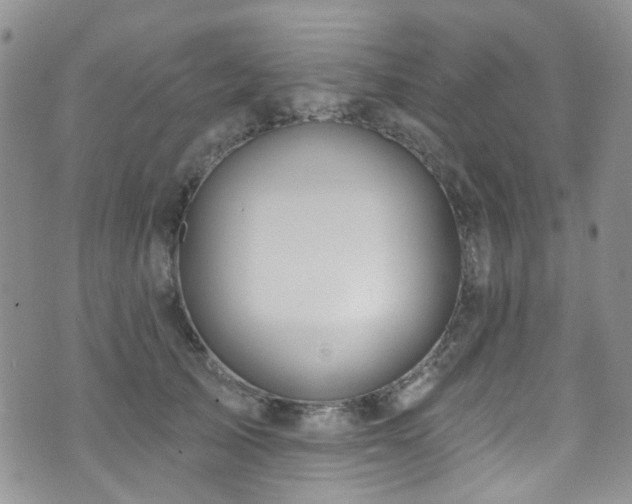 X0000073730705200608031330