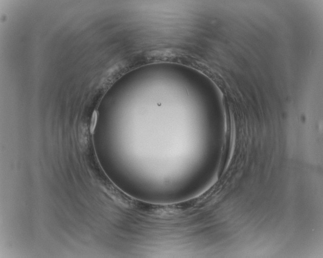 X0000073730708200608031330