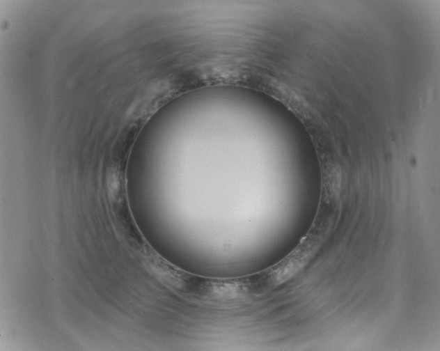 X0000073730709200608031330