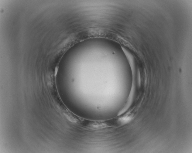 X0000073730712200608031330